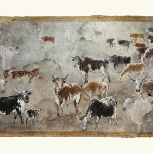 DAP116 - Nguni Herd IV