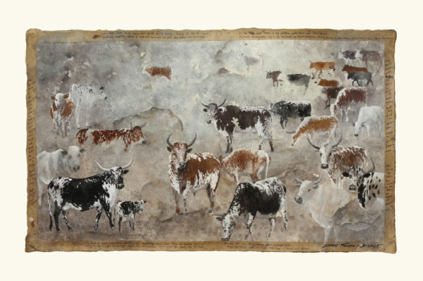 DAP116 - Nguni Herd IV