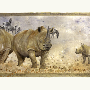 DAP136 - Rhino & Zebra II