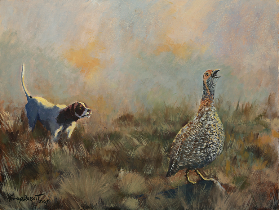 OP 226 - Pointer and Greywing