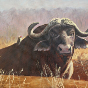 OP 228 - Old Dugga Boy