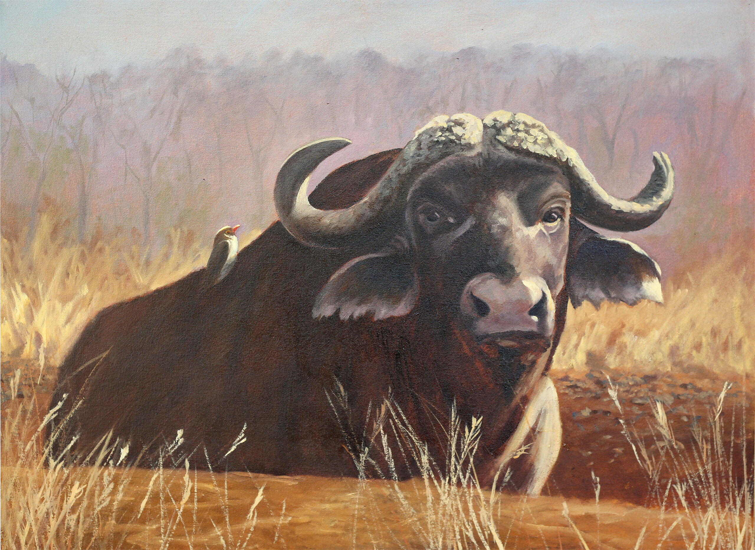 OP 228 - Old Dugga Boy