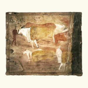 RAD 15 - Imvani River