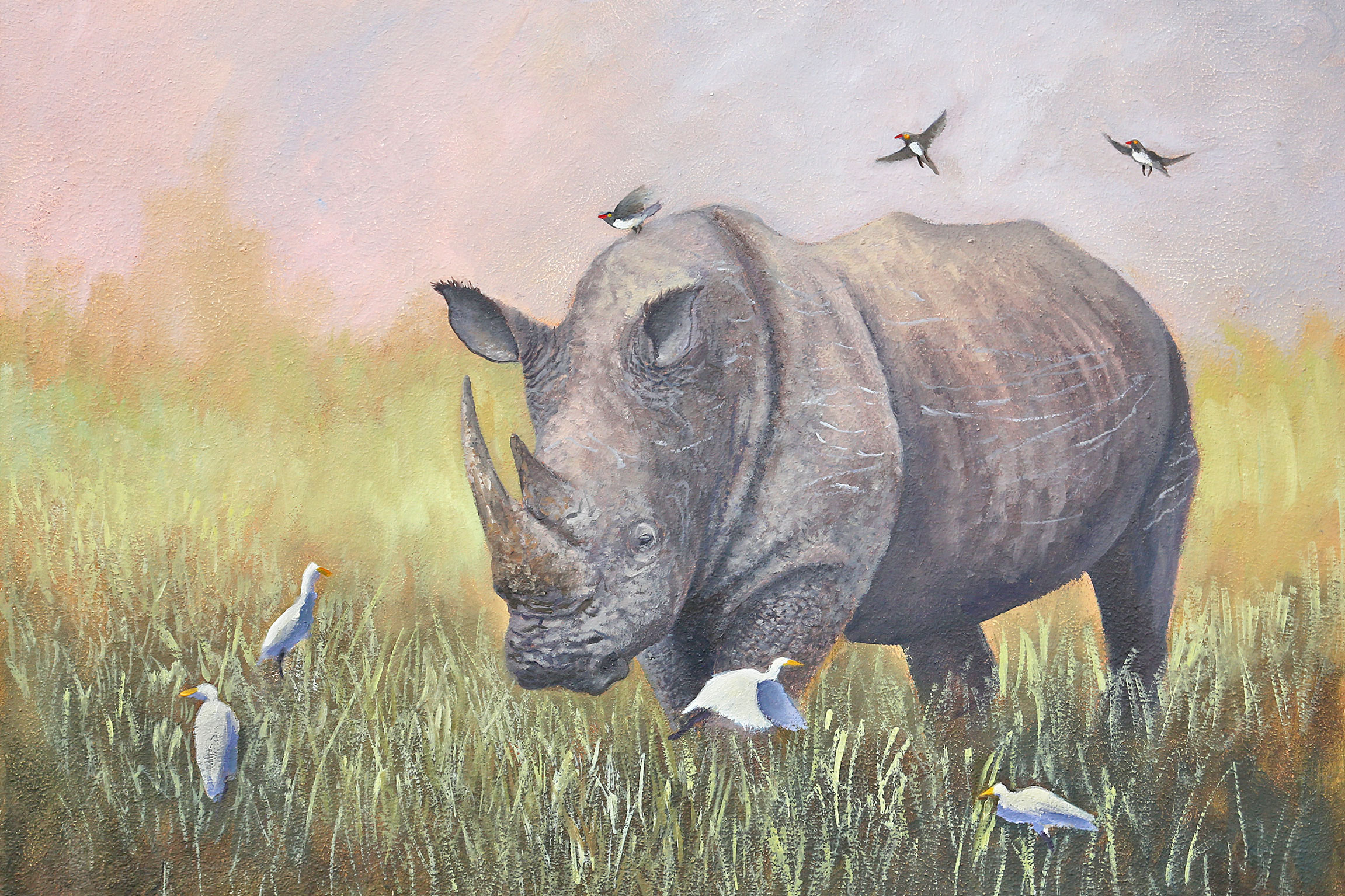 OP231 Rhino with Egrets - Original Available