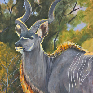 OP227 Young Bull - Original Available