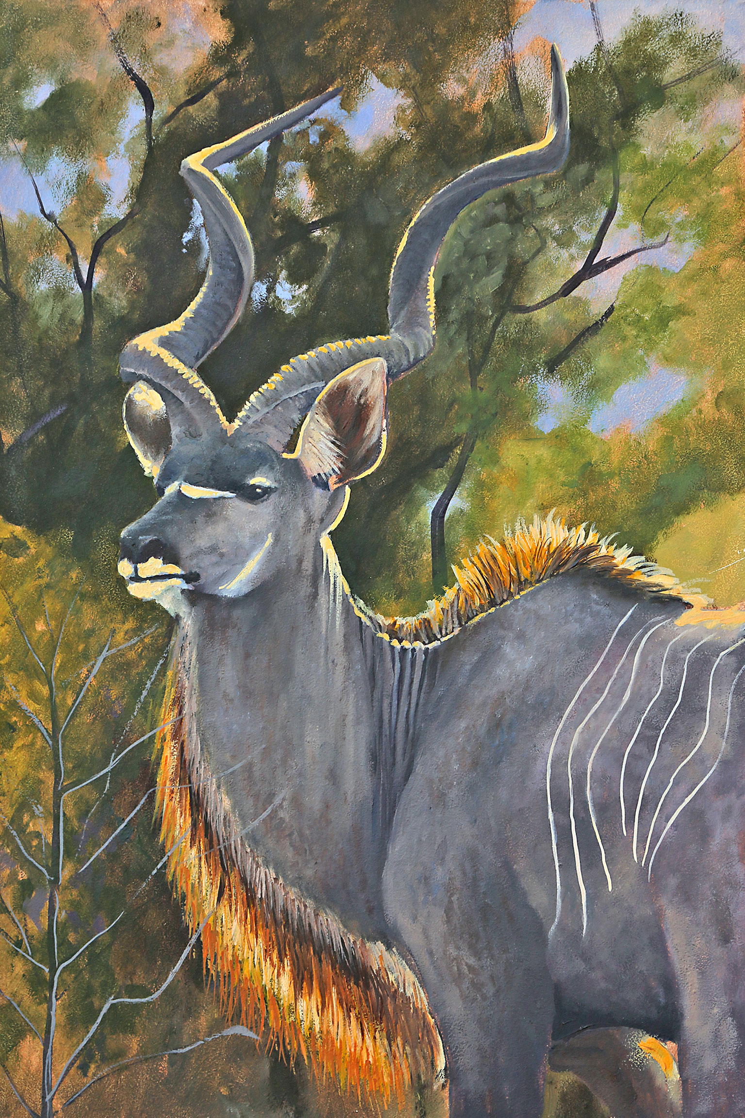 OP227 Young Bull - Original Available